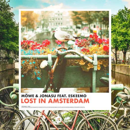 Möwe / Lost in Amsterdam