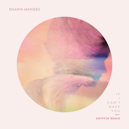 Shawn Mendes / If I Can't Have You (Gryffin Remix)