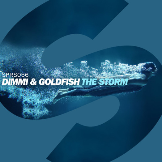 Goldfish & DIMMI / The Storm