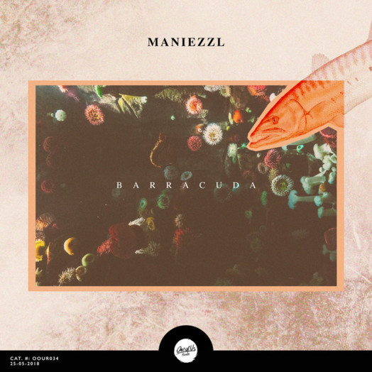 Maniezzl / Barracuda