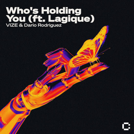 VIZE, Dario Rodriguez, Lagique / Who's Holding You