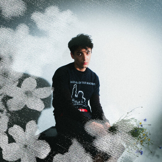 Rowli / Eigentlich schön